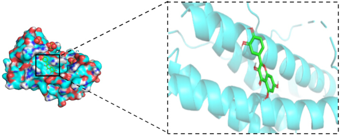 figure-results-9 Protein-ligand interaction, molecular structure diagram, highlighting binding site in protein modeling.