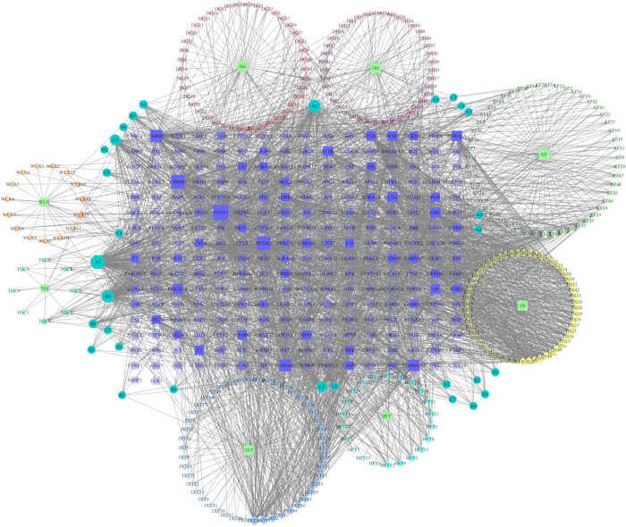 figure-results-1 Gene interaction network diagram illustrating complex genetic relationships and pathways.