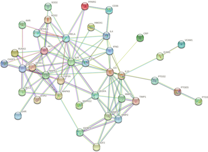 figure-results-4 Protein interaction network diagram; visualizing molecular interactions, nodes, edges, pathways.