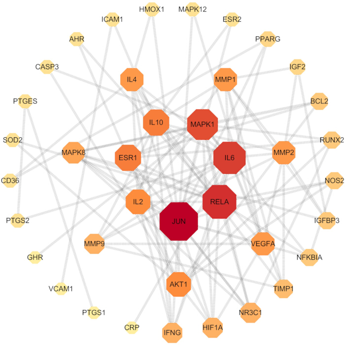 figure-results-5 Gene interaction network diagram showing cytokine signaling pathways, highlighting JUN, IL6, RELA nodes.