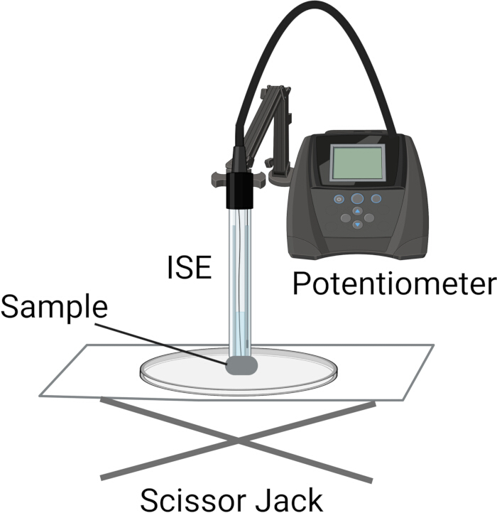 figure-protocol-2