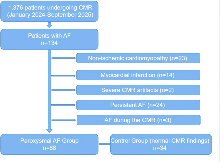 Flowchart of cardiovascular magnetic resonance study on AF patients; diagnosis breakdown included.