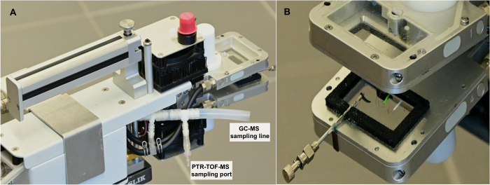 Gas chromatography-mass spectrometry (GC-MS) sampling setup for chemical analysis; PTR-TOF-MS port.