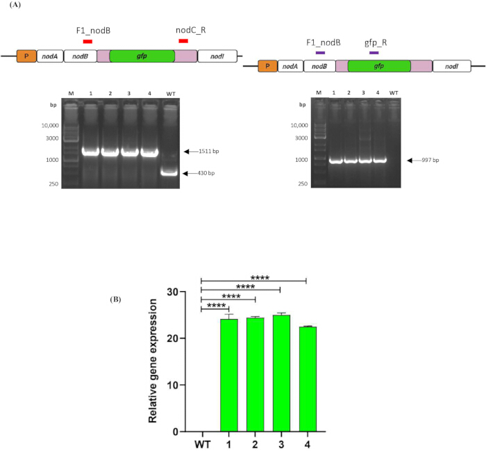 figure-results-5