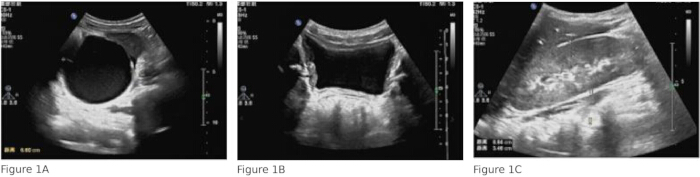 figure-results-1