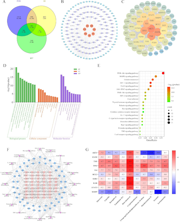 figure-results-1 Venn diagram for shared genes; network diagrams; gene ontology bar chart; KEGG pathway bubble chart; protein interaction heatmap.