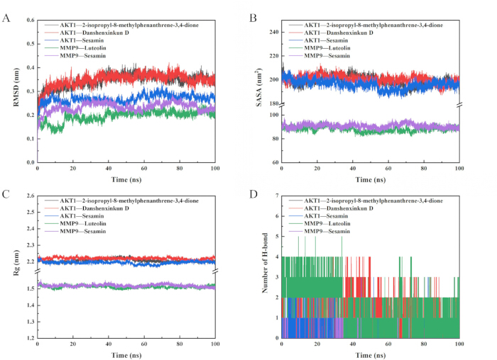 figure-results-3 Molecular dynamics simulation graphs; RMSD, SASA, Rg, H-bonds over time; protein-ligand analysis.
