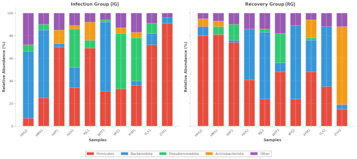 figure-results-2