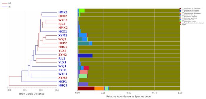 figure-results-7