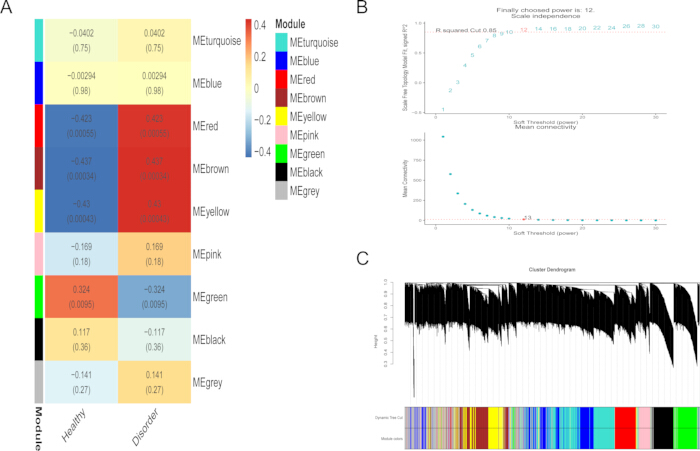 figure-results-3 WGCNA network analysis diagram showing module-trait relationships, power scale, and cluster dendrogram.