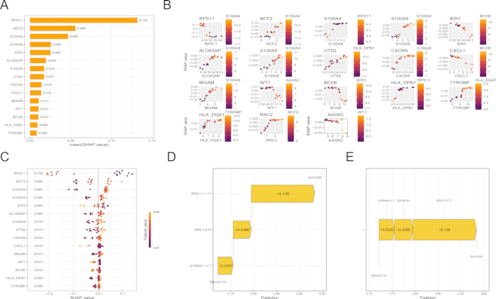 figure-results-6 SHAP value analysis; genetic data visualization; plots A-E show feature importance and interaction.