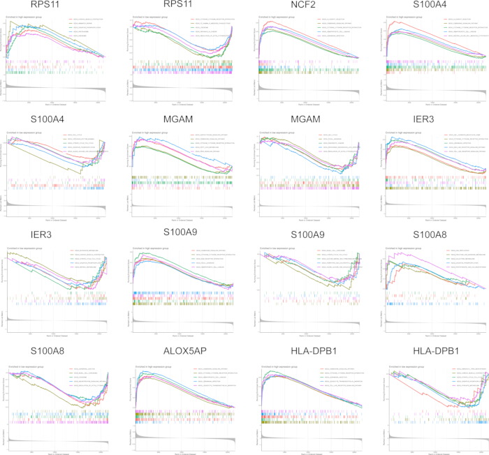 figure-results-7 Gene expression stability analysis, graph showing expression profiles for genes RPS11, S100A4, MGAM, IER3.