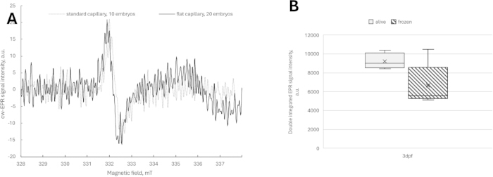 figure-results-4 EPR spectra and box plot analyzing magnetic field impact on embryo capillaries, showing data variability.
