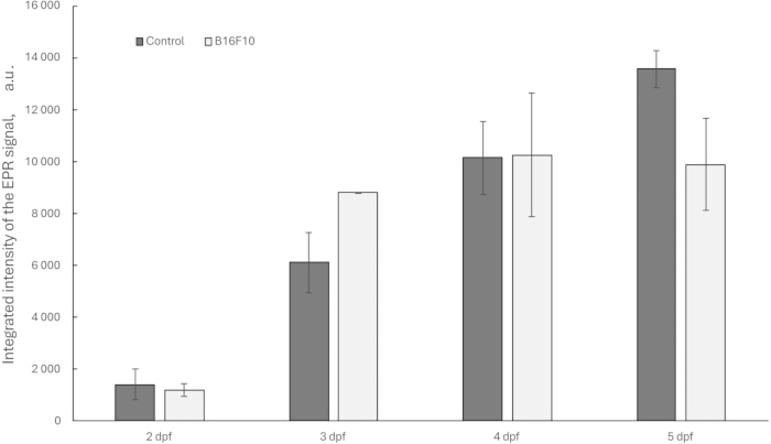 figure-results-7 EPR signal intensity bar graph for control vs. B16F10 over days; spectral analysis comparison.