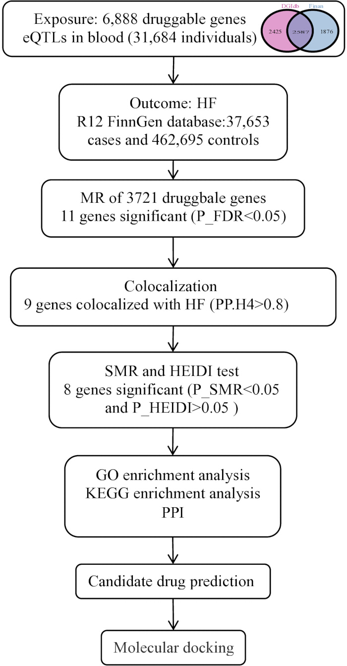 figure-results-1 Flowchart showing gene analysis process: eQTLs, MR, colocalization, SMR & HEIDI, enrichment, docking.