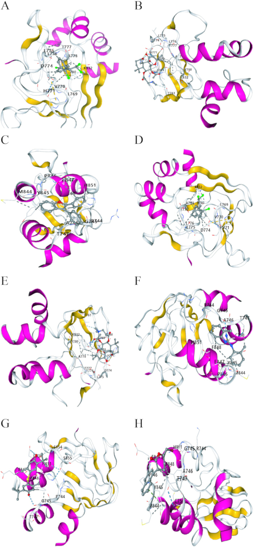 figure-results-6 Protein structure diagrams illustrating various molecular interactions and binding sites.