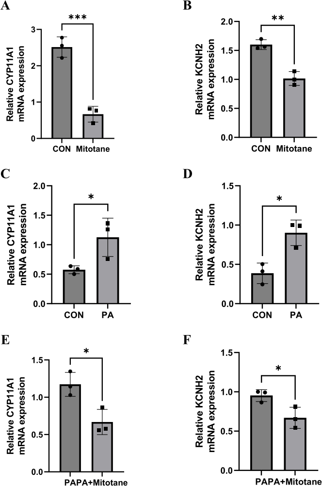 figure-results-7 Gene expression bar graphs for CYP11A1 and KCNH2 mRNA in different treatment conditions.