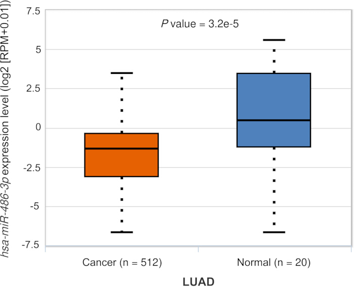 figure-results-1 Box plot comparing hsa-miR-486-3p expression in cancer vs. normal lung tissue; P value=3.2e-5.