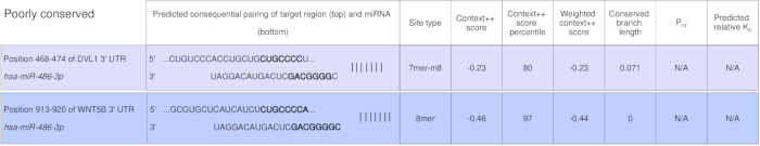 figure-results-2 mRNA-miRNA interaction analysis table; includes site types, context scores, and conservation metrics.