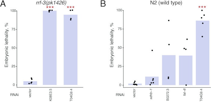 RNAi experiment results, embryonic lethality bar charts for rrf-3 and N2 strains, genetic impact analysis.