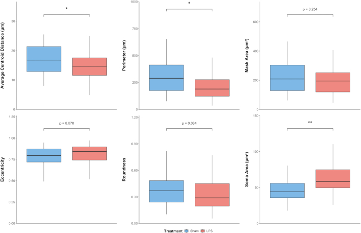 figure-results-3 比较不同处理组细胞形态学指标的箱线图:质心距离、面积、圆度。