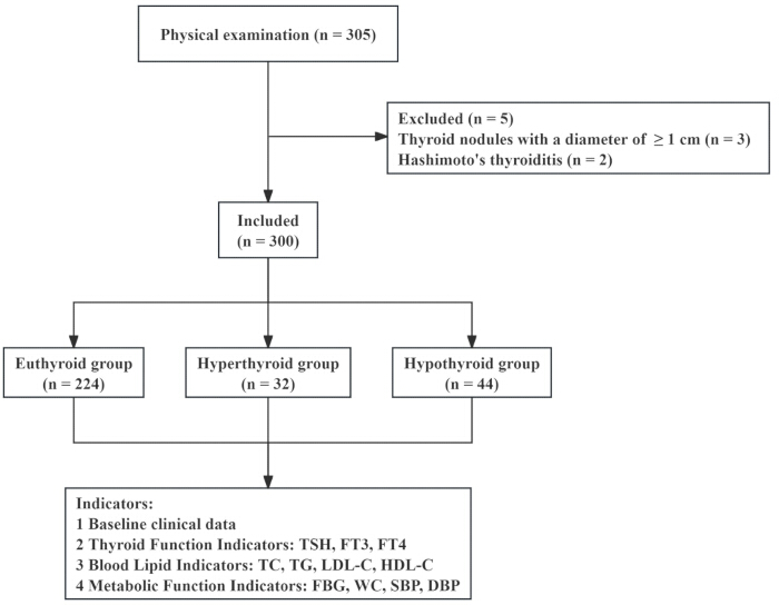 Thyroid study flowchart; group division; indicators for clinical, thyroid, lipid, metabolic functions.