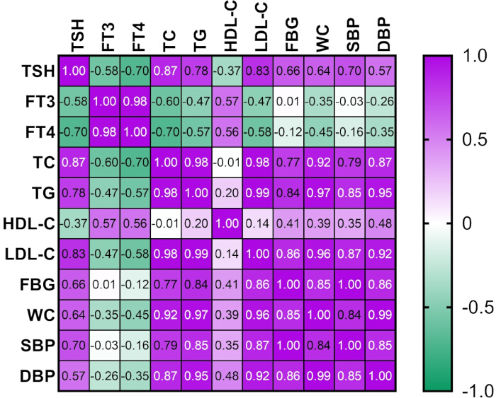 Correlation matrix diagram, data analysis of biochemical markers TSH, FT3, FT4, TC, HDL-C, LDL-C.