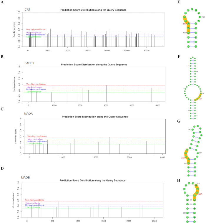 figure-results-7