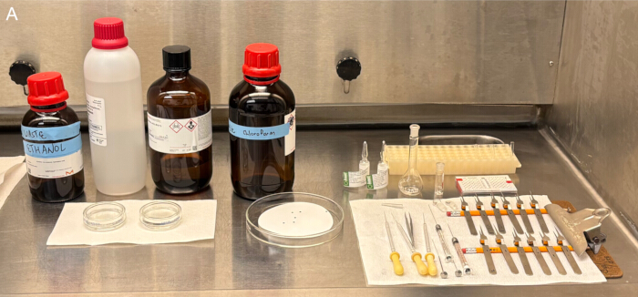 figure-protocol-1 Chemical lab setup with reagents for chromatography experiment; tools for sample preparation visible.