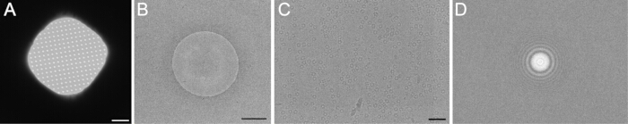 Electron microscopy of nanostructures, diagram showing lattice and diffraction patterns.