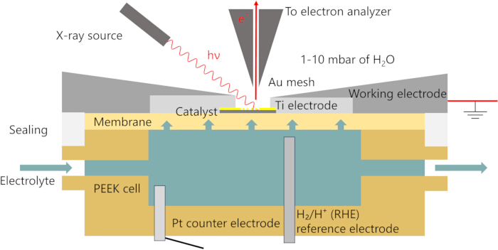 Illustration of an electrochemical cell with X-ray photoelectron spectroscopy for catalyst analysis.