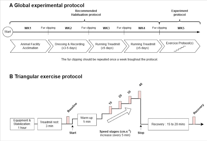 figure-protocol-1