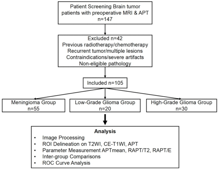 Brain tumor patient screening flowchart; MRI, APT, group analysis, ROC curve, glioma categorization.