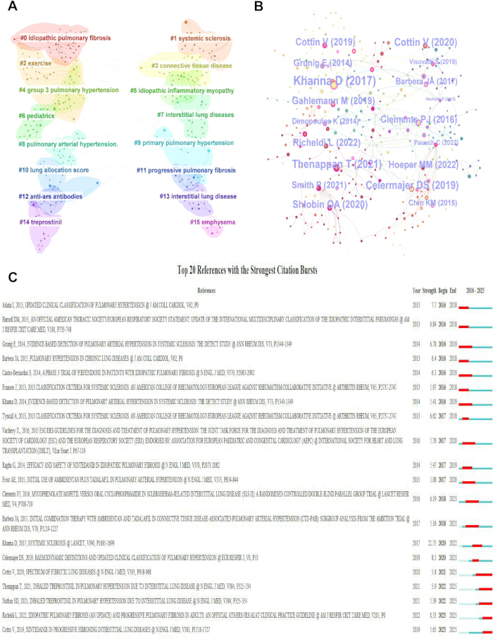 figure-results-7 Pulmonary disease relationship and citation burst network diagrams with reference analysis table.