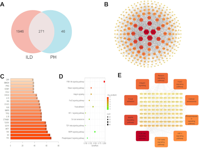 figure-results-8 Venn diagram analysis, gene network mapping, bar chart, pathway enrichment dot plot, signaling pathways.