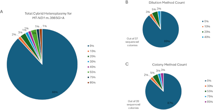 Pie charts of cybrid heteroplasmy analysis for MT-ND1 m.3985G>A. Experimental colony count comparison.