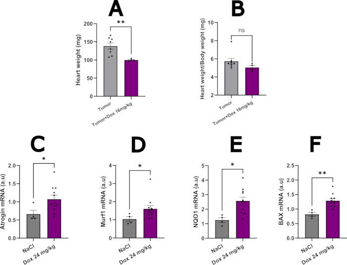 figure-results-6 figure-results-6