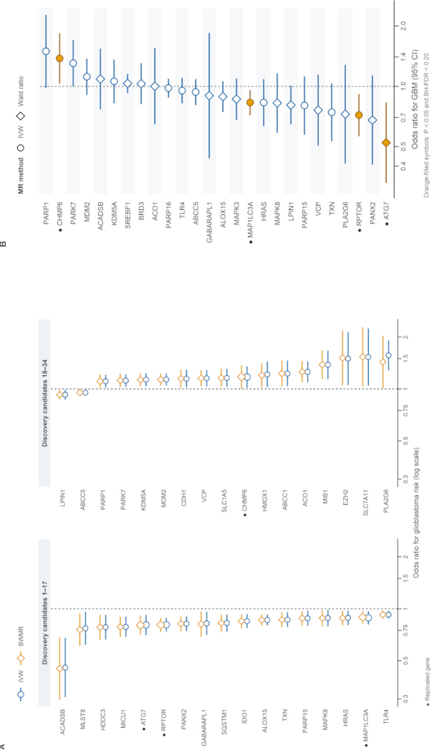 Genetic variant analysis chart showing odds ratios for glioblastoma risk using MR and IVW methods.