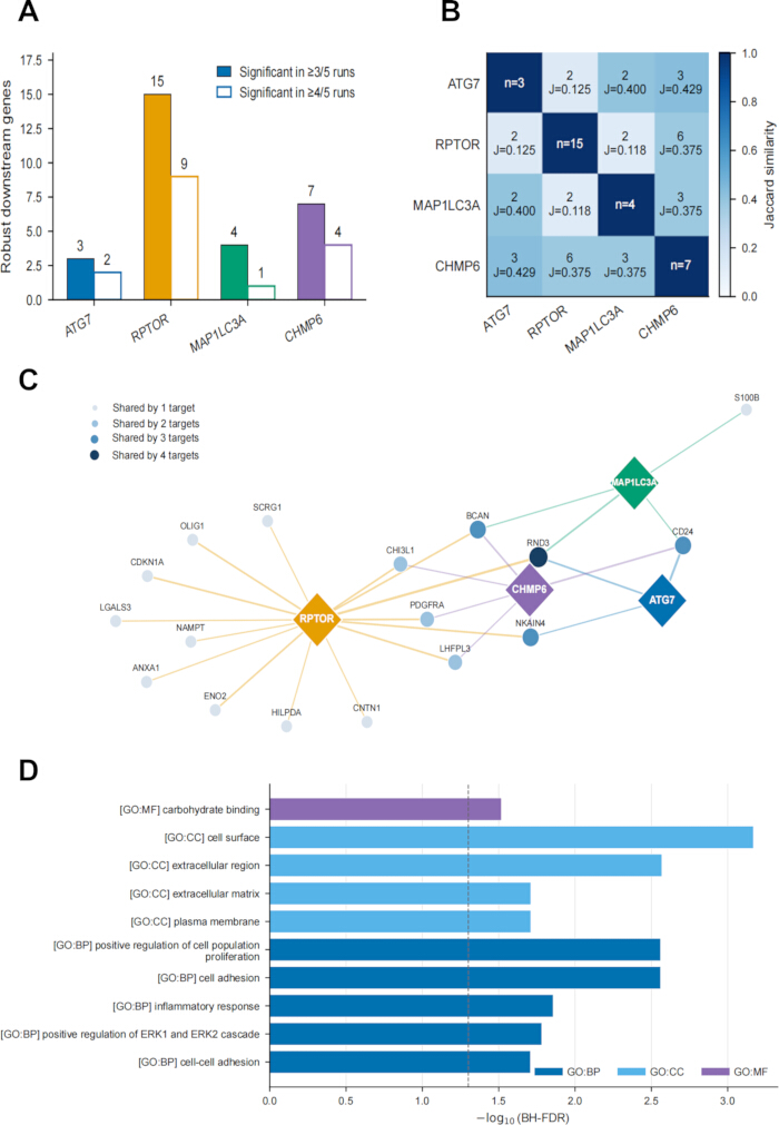 Gene expression analysis, diagram showing gene significance, similarities, networks, and ontology chart.
