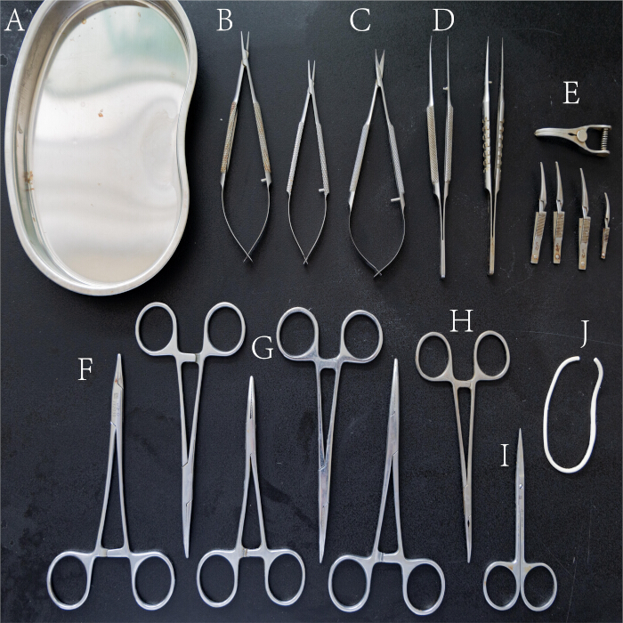 figure-protocol-1 Surgical instrument layout; includes forceps, scalpels, scissors, and kidney dish for dissection.