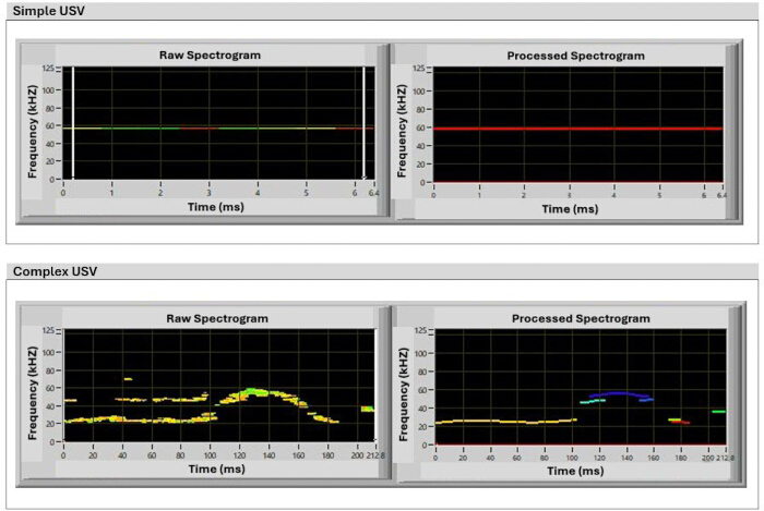 Spectrogram analysis of USV; raw and processed graphs of frequency vs. time for acoustic study.