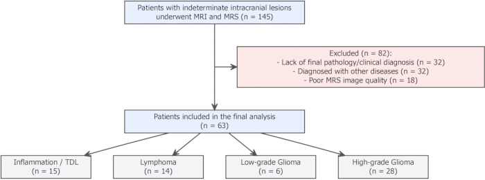 figure-protocol-1 MRI and MRS analysis flowchart; lesion classification, patient data, exclusion criteria.
