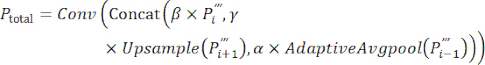 Deep learning model equation, formula: P_total = Conv(Concat(β×P_i'', γ)×Upsample(P_i+1'', α×AdaptiveAvgpool(P_i-1''))).