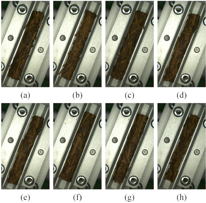 figure-protocol-1 Compression testing diagram showing sequential stages on wood sample using mechanical equipment.