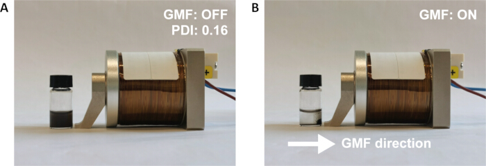 figure-results-6 Magnetic field experiment: coil with vial. GMF on/off effect on dispersion (PDI: 0.16).