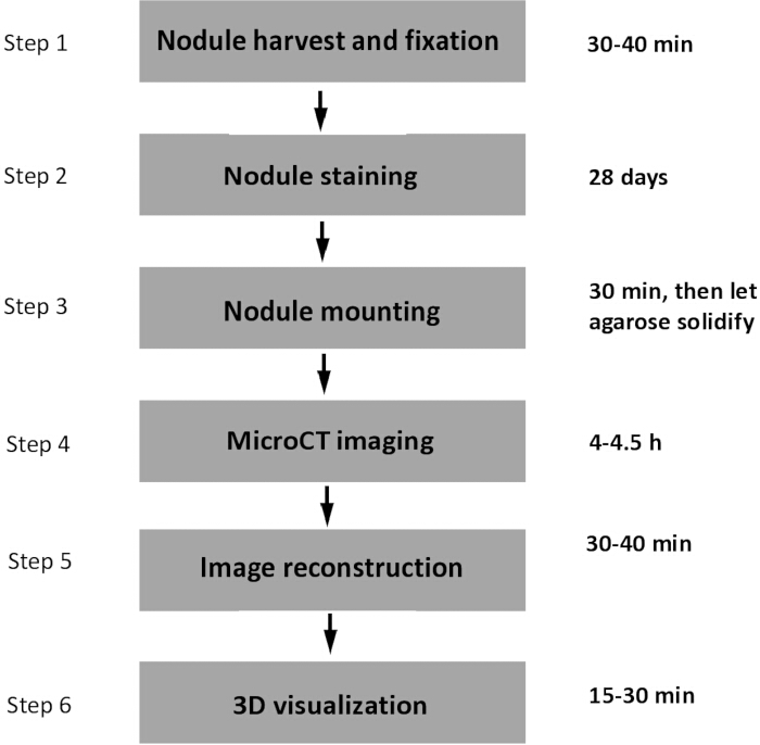 figure-results-1 figure-results-1