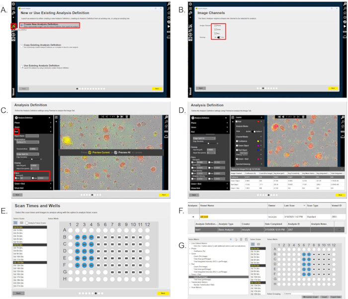 figure-results-4 Image analysis software workflow; microscopy image setup; data scan/integration; educational diagram.