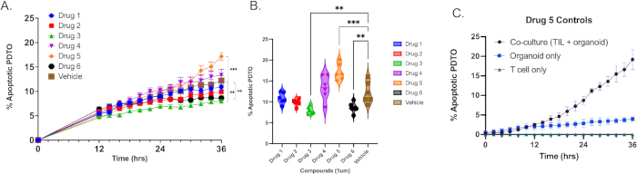 figure-results-5 Apoptosis drug response graph: time-course, violin plot analysis, organoid drug testing, treatment efficacy.