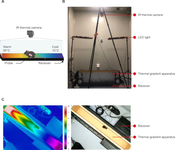 Thermal gradient experiment setup diagram and IR camera imaging; involves thermal analysis equipment.
