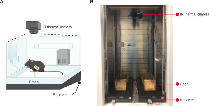 Mouse behavior analysis setup; IR thermal camera, probe, receiver for study of thermoregulation.
